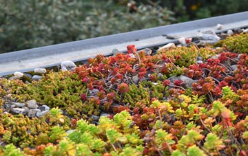 the cost of Strathtay green roof installation