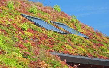 Strathtay living roof systems